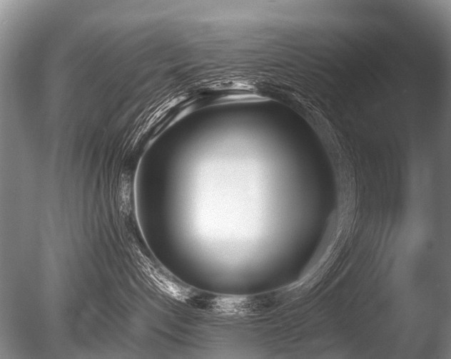 X0000086310192200703301201