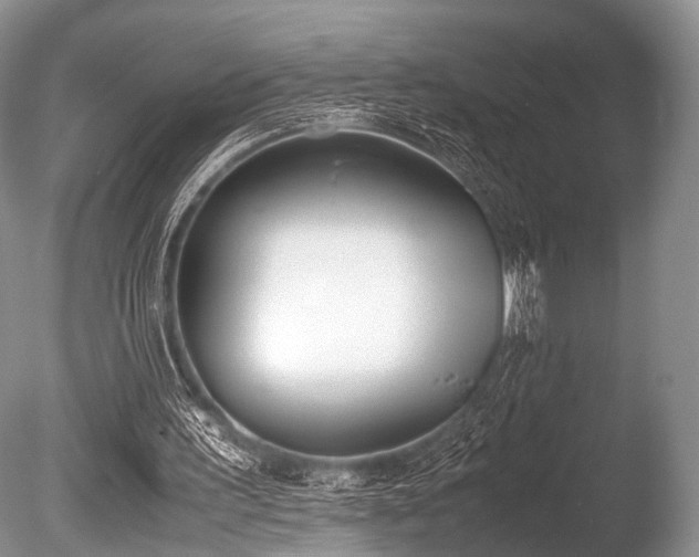 X0000086310195200703301200
