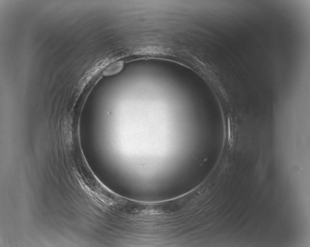 X0000086310204200703301159