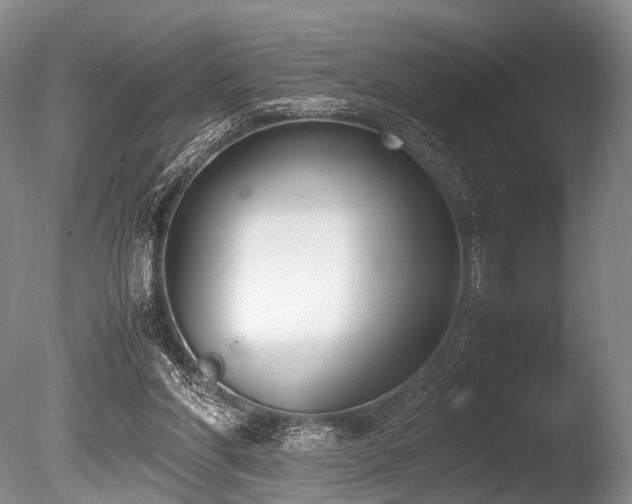 X0000086310206200703301159