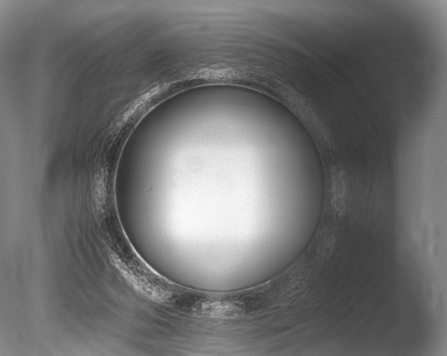 X0000086310208200703301159