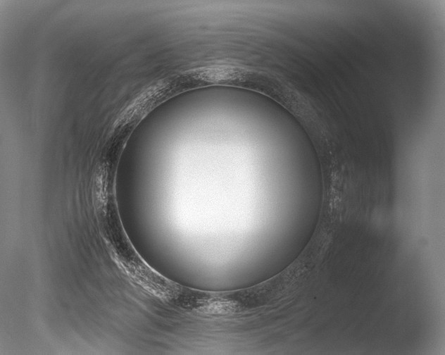 X0000086310210200703301159