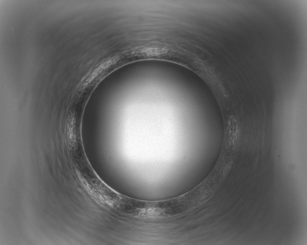 X0000086310212200703301159