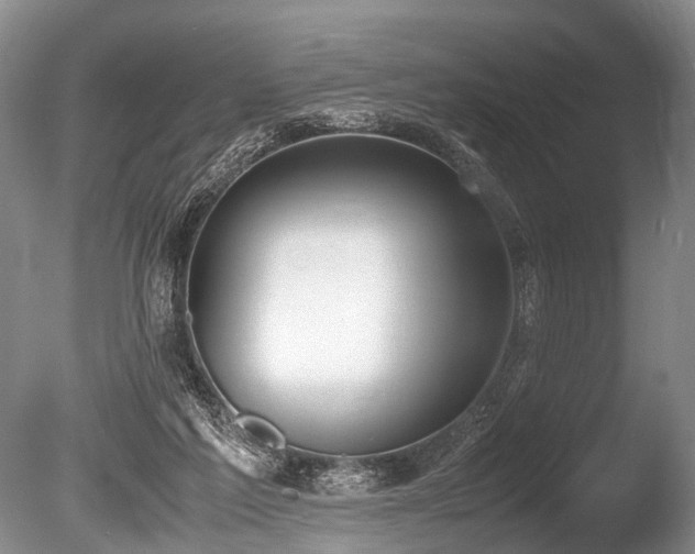 X0000086310213200703301159
