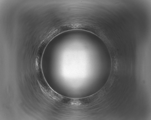 X0000086310214200703301159