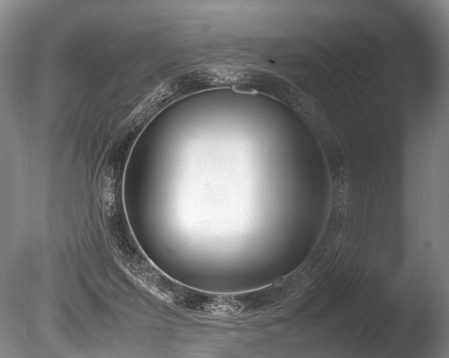 X0000086310215200703301159