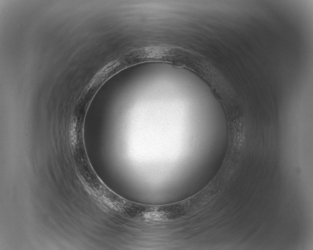 X0000086310216200703301159