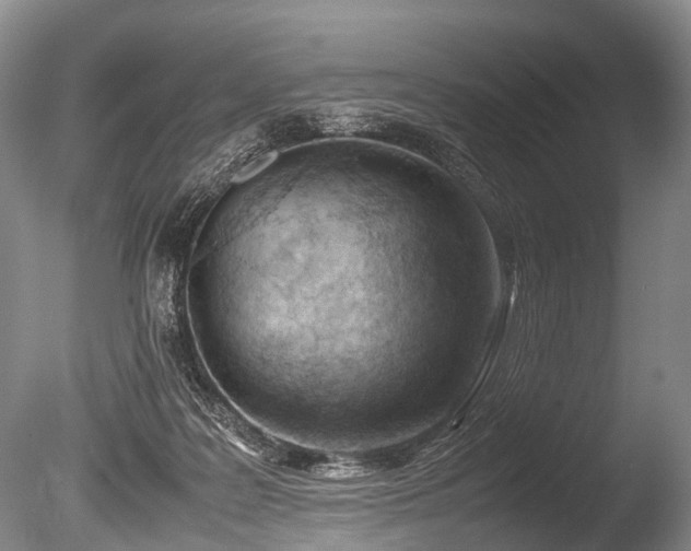 X0000086310219200703301159