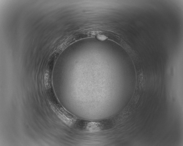 X0000086310222200703301159