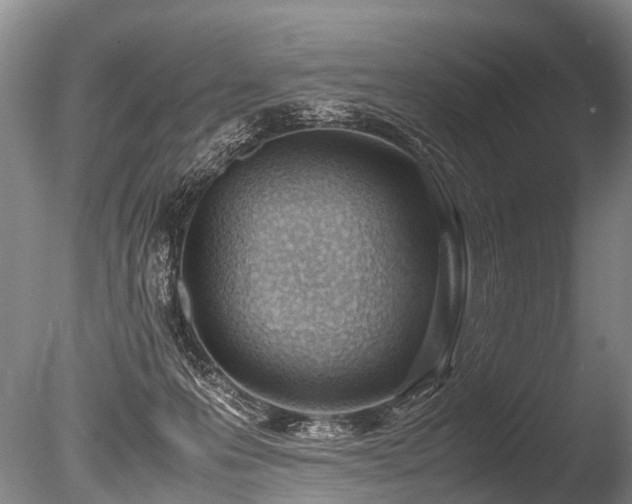 X0000086310223200703301159