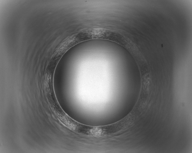 X0000086310225200703301159