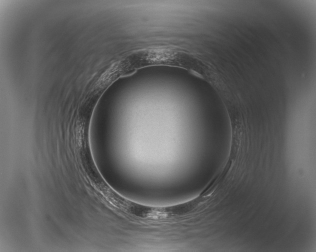 X0000086310227200703301159