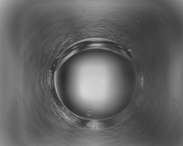 X0000086310231200703301159
