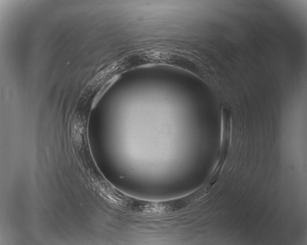 X0000086310235200703301159