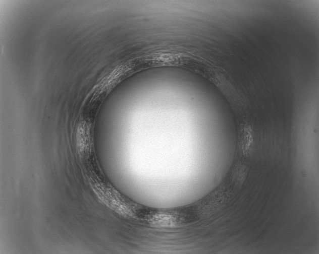 X0000086310236200703301159