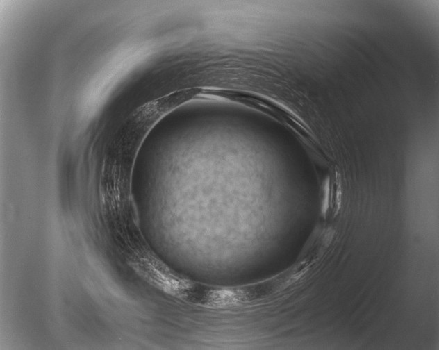 X0000086310239200703301159