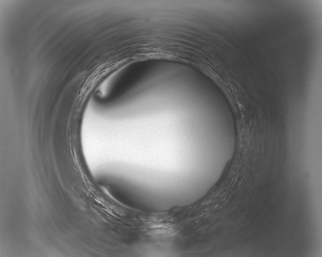 X0000086310241200703301158