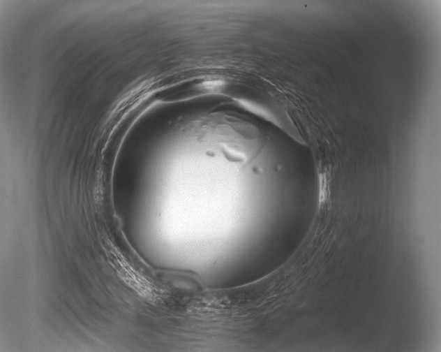 X0000086310243200703301158