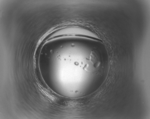 X0000086310246200703301158