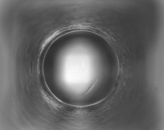 X0000086310248200703301158