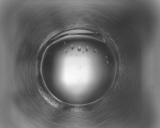 X0000086310250200703301158
