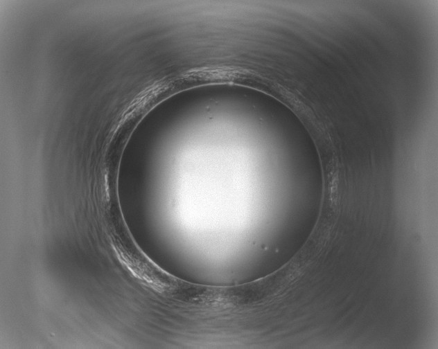 X0000086310254200703301158