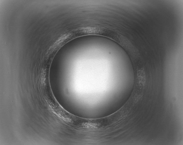X0000086310255200703301158