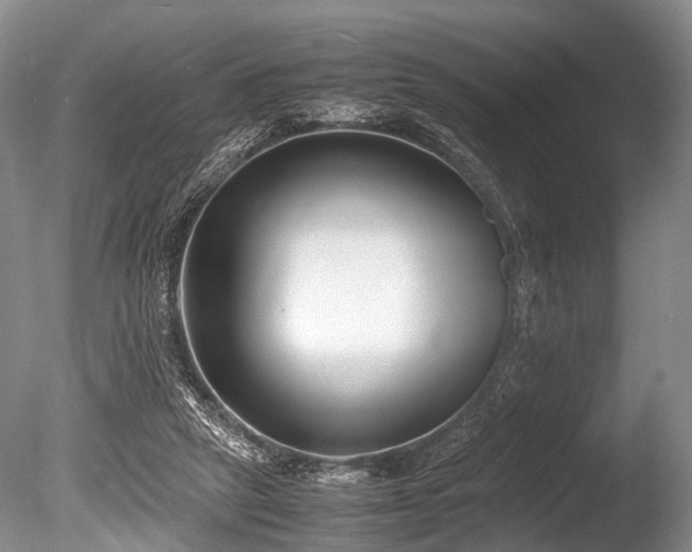 X0000086310257200703301158