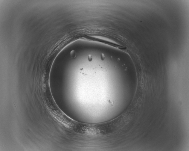 X0000086310258200703301158