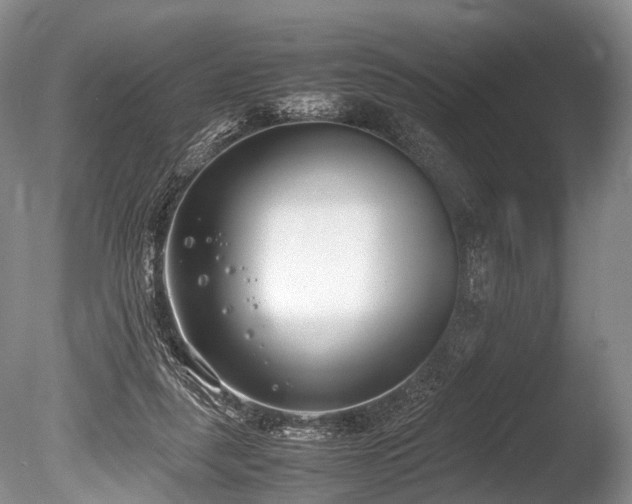 X0000086310259200703301158