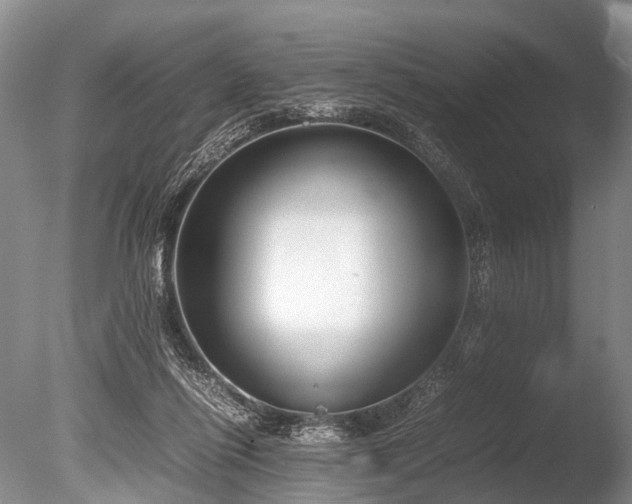 X0000086310262200703301158