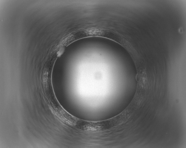 X0000086310263200703301158