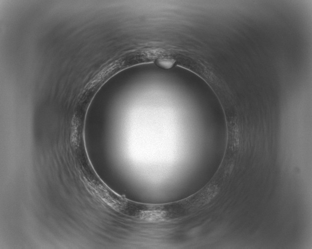 X0000086310266200703301158