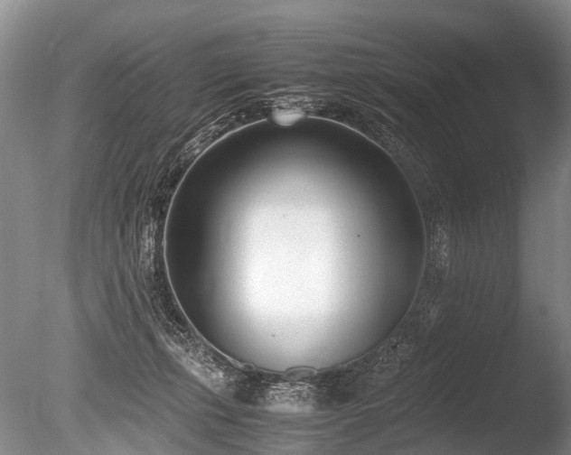 X0000086310271200703301158