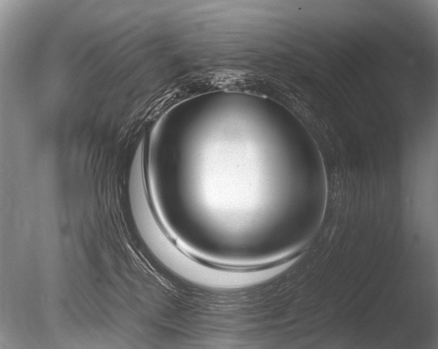 X0000086310280200703301159