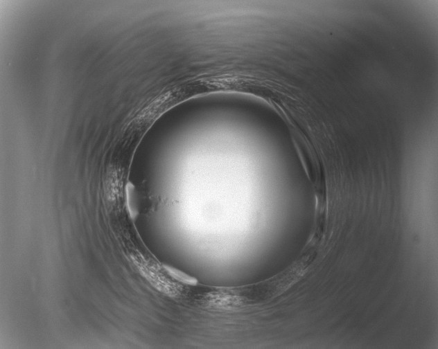 X0000086310284200703301159