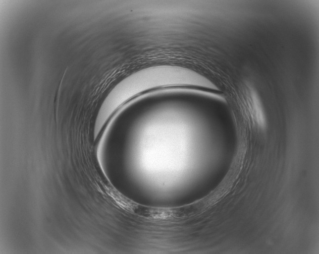 X0000086310288200703301159