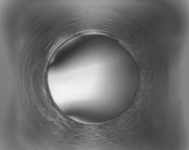 X0000086310289200703301158