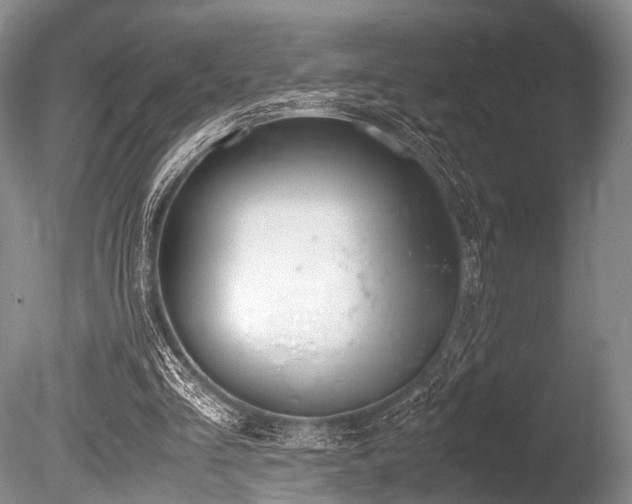 X0000086310293200703301158