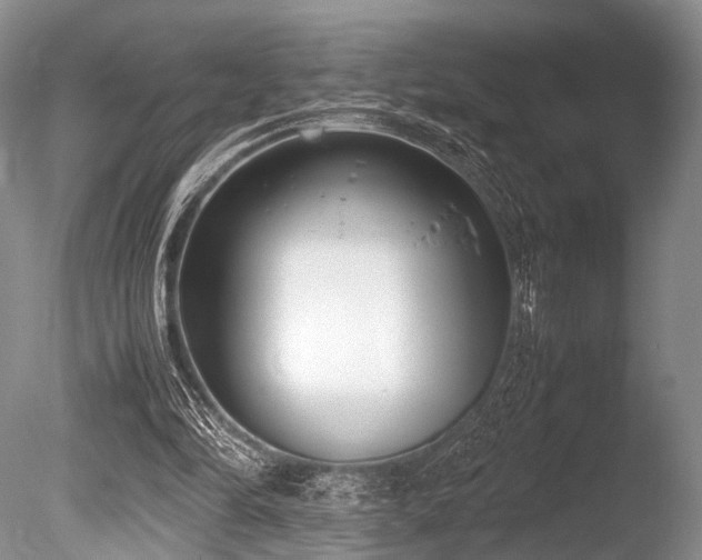 X0000086310294200703301158