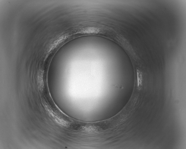 X0000086310300200703301158