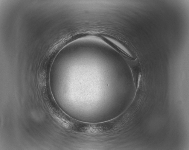 X0000086310303200703301158