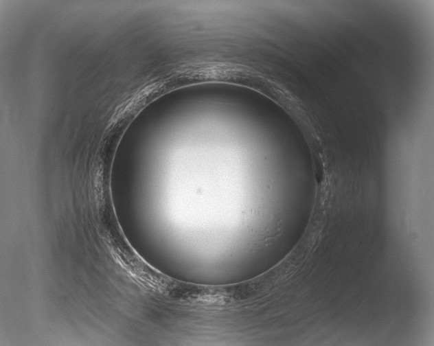 X0000086310306200703301158