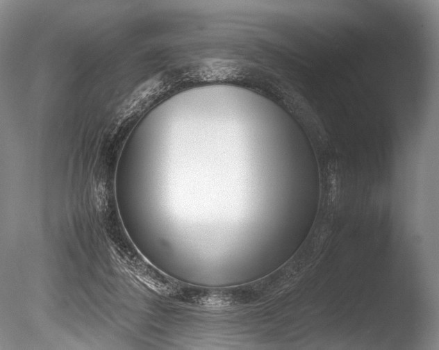 X0000086310308200703301158