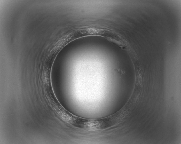 X0000086310317200703301157