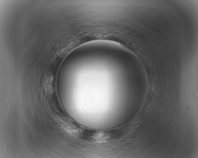 X0000086310319200703301157