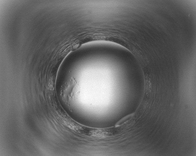 X0000086310331200703301157