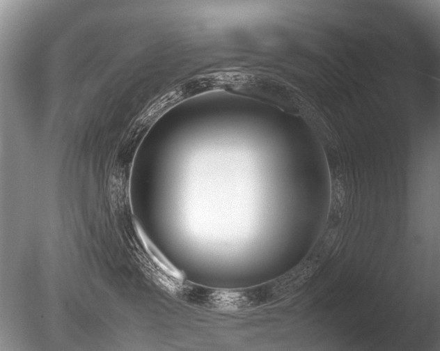 X0000086310333200703301157
