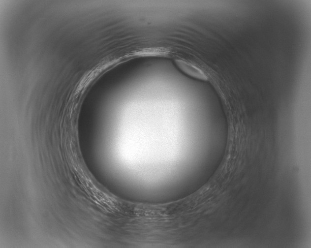 X0000086310337200703301156