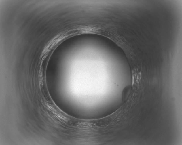 X0000086310339200703301156